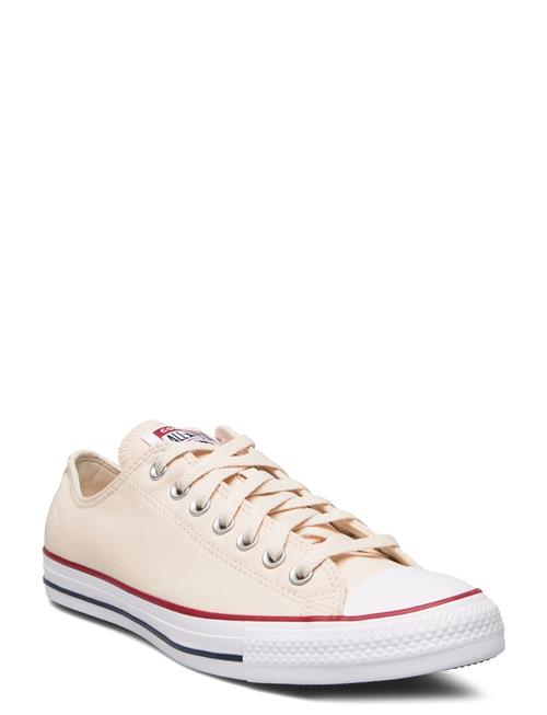 Converse | Ctas Ox Natural Ivory | 42