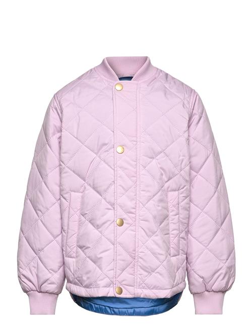 Molo | Hallow | 146-152