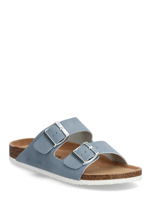 Exani | Spectra W | 38