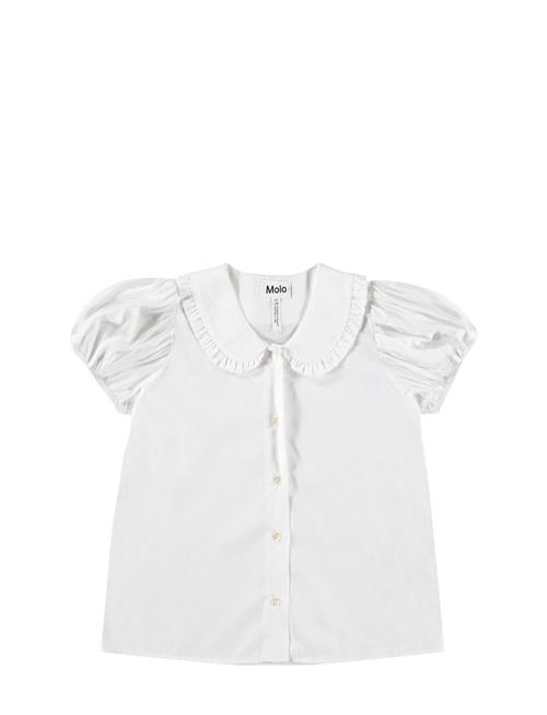 Molo | Rosabella | 134/140