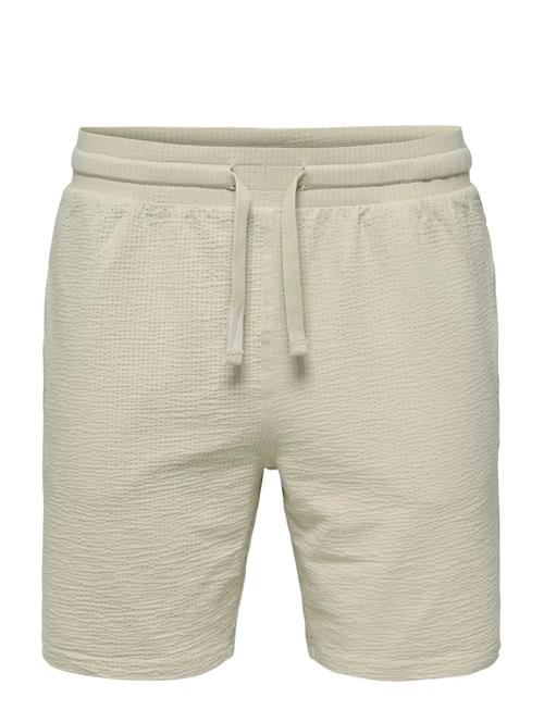 Se ONLY & SONS | Onskian Life Reg Seersucker Shorts Noos | XL hos Booztlet
