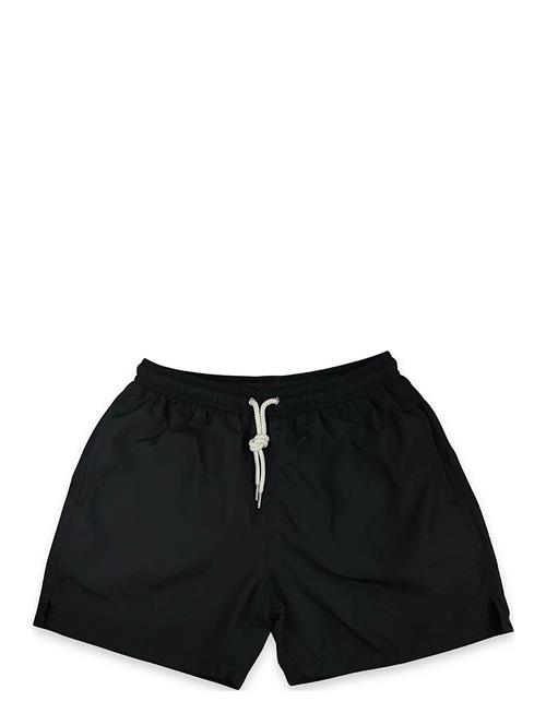 Portia 1924 | Solid Swim Shorts | XXL
