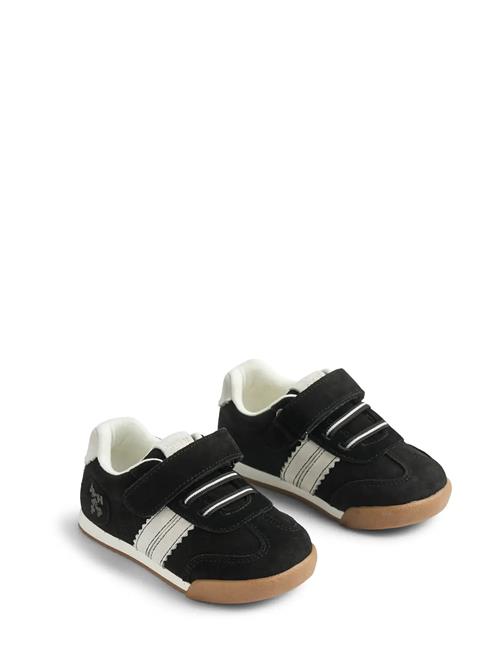 Wheat | Sneaker Spectra | 24