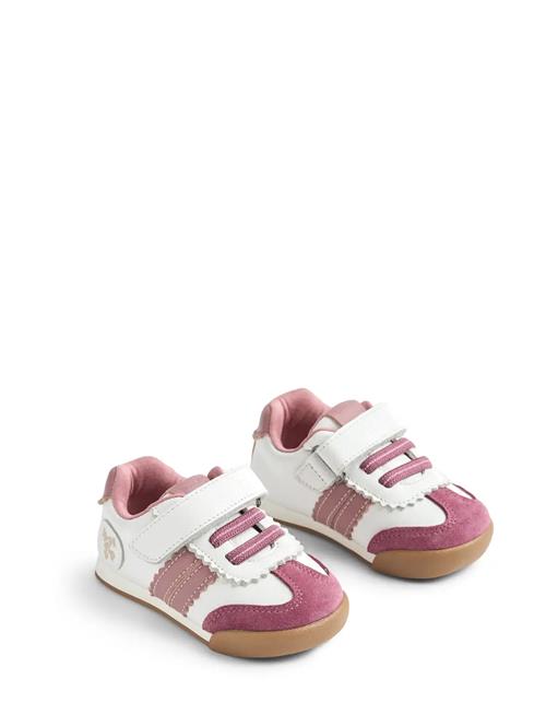 Wheat | Sneaker Spectra | 27