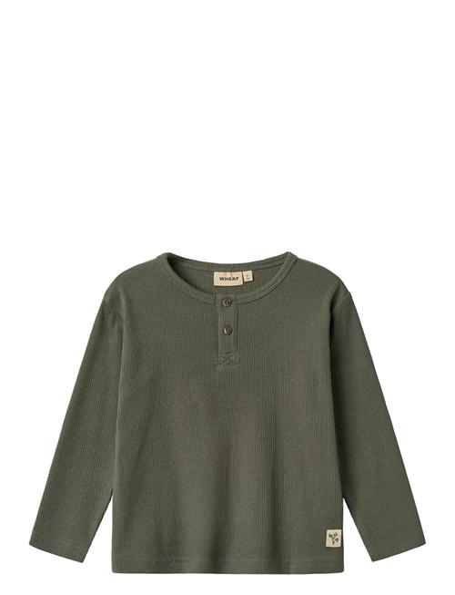 Wheat | T-Shirt L/S Morris | 122