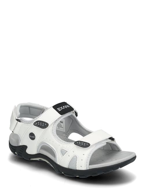 Exani | Spider Pro W | 36