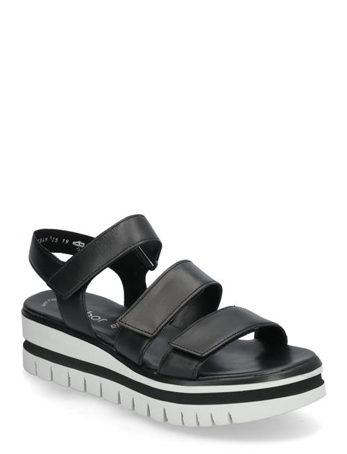 Gabor | Sandal | 40