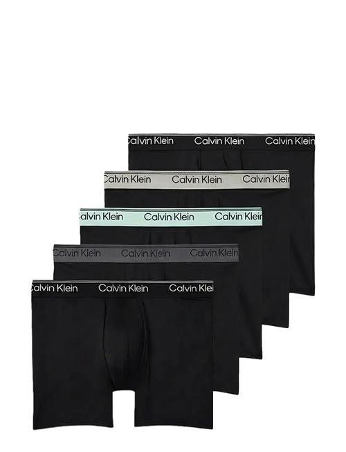 Calvin Klein | Boxer Brief 5Pk | XL