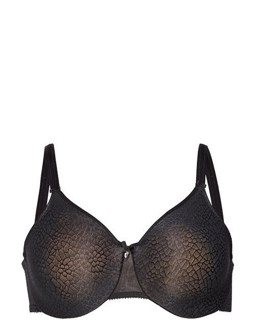 CHANTELLE | C Magnifique Very Covering Bra | F x 85