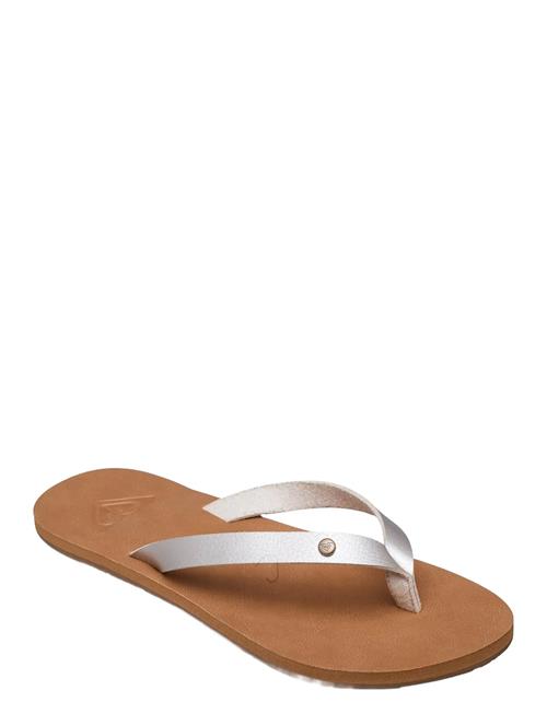 Roxy | Jyll Iii | 37