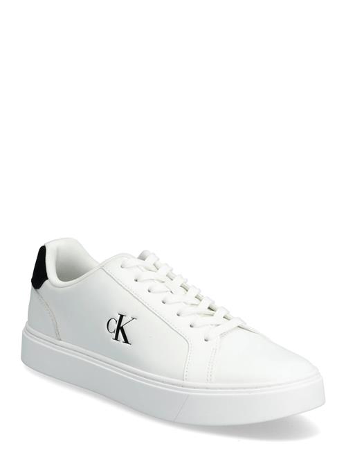 Calvin Klein | Classic Cupsole Laceup Lth | 45