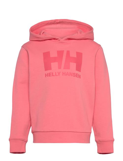 Helly Hansen | K Hh Logo Hoodie | 122