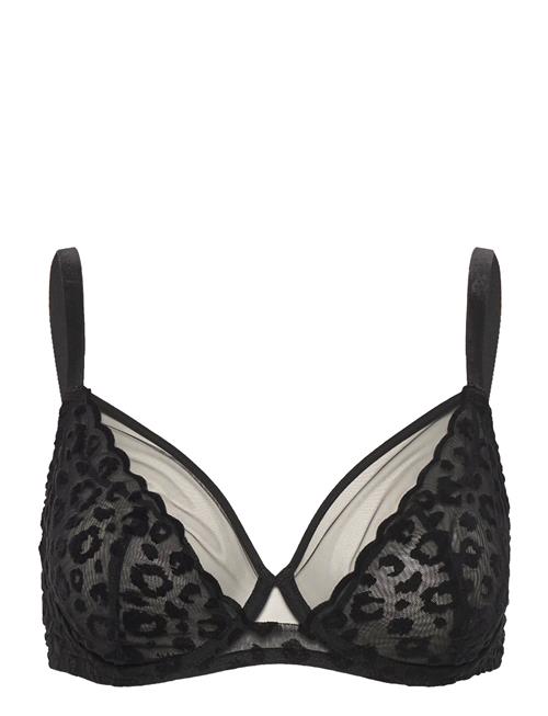 CHANTELLE | Girls Underwire Covering Bra | E x 75