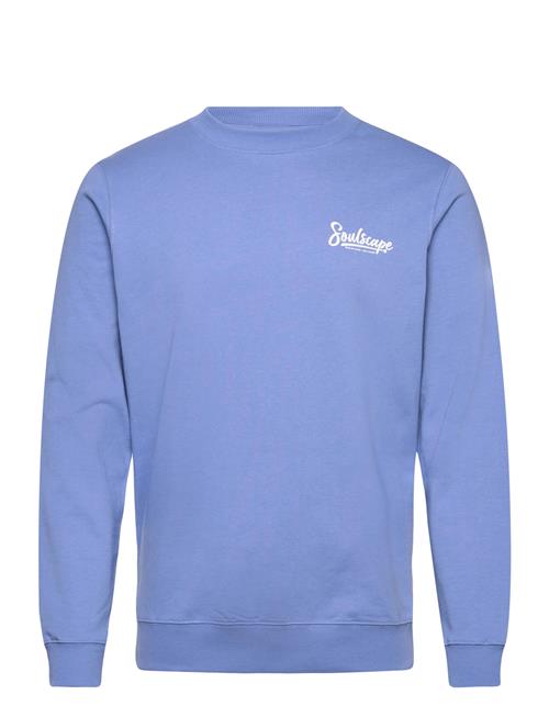 Solid | Sdtorrence | XL