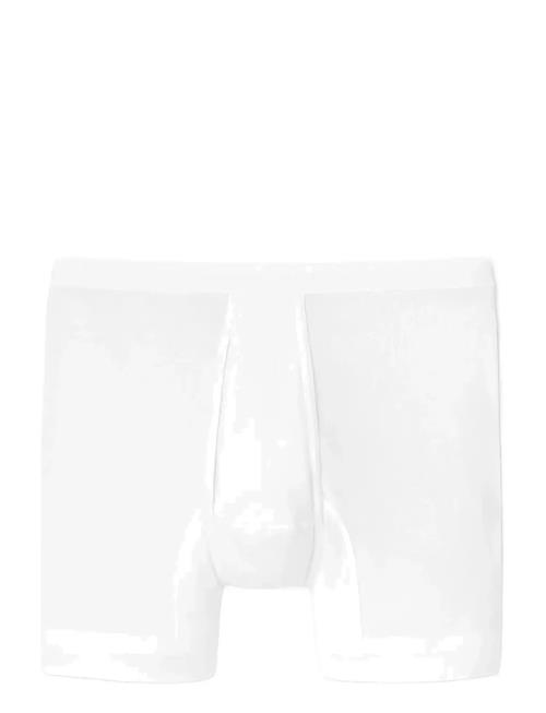 Schiesser | Shorts | XL