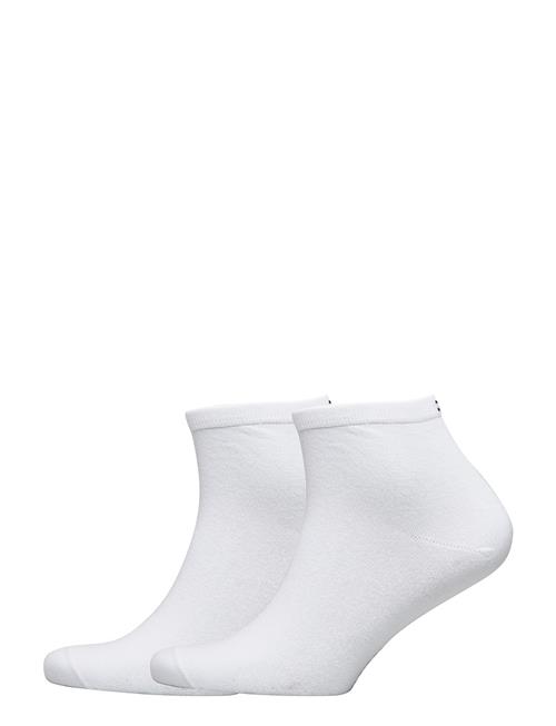 Tommy Hilfiger | Th Women Casual Short Sock 2P | 35-38