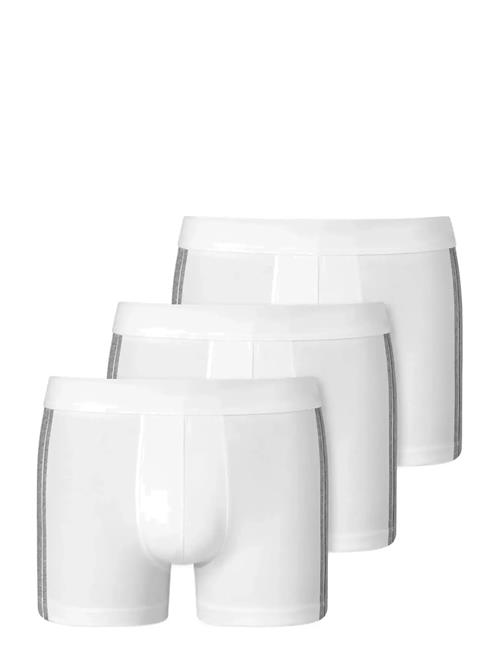 Schiesser | Shorts | XL