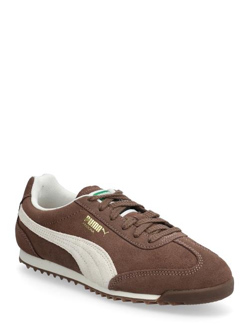 PUMA | Arizona Sd | 41