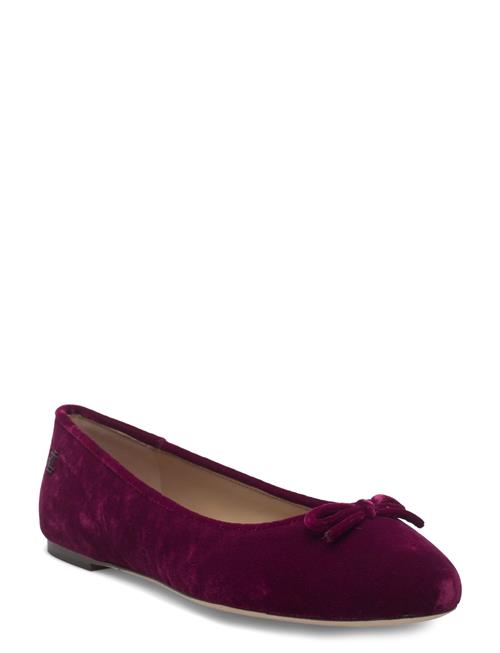 Lauren Ralph Lauren | Jayna Iii Velvet Flat | 40