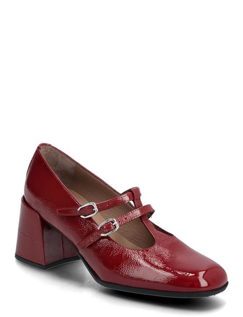 Wonders | Aura 02 | 42