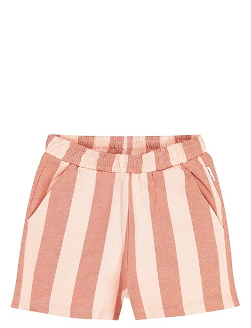 TUMBLE 'N DRY | Tnd Lunario | 146