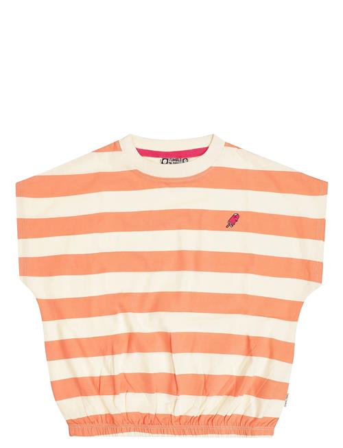 TUMBLE 'N DRY | Tnd Colatina | 134/1