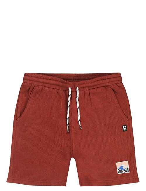 TUMBLE 'N DRY | Tnd Southport | 104