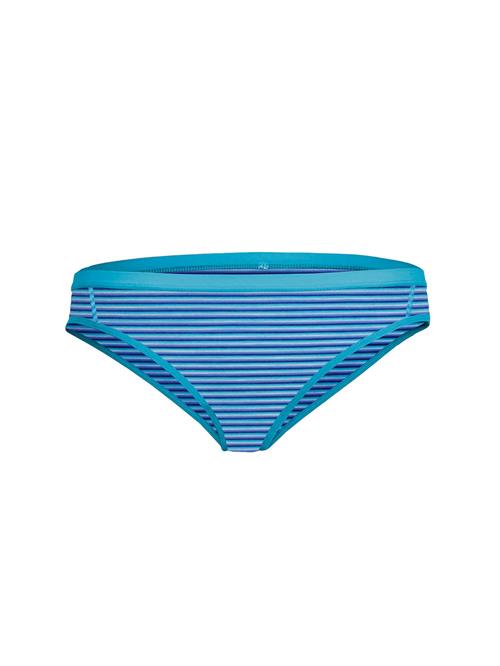 ICEBREAKER Sportsunderbukser 'Siren'  blå / mørkeblå