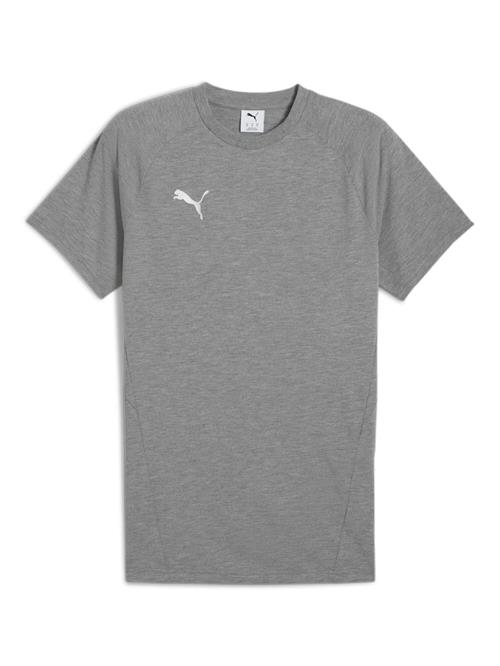 PUMA Funktionsskjorte 'TeamEvostripe'  grå / hvid