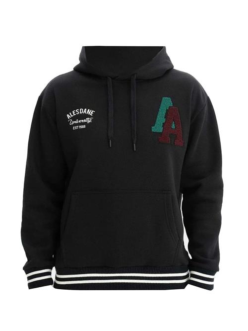 Arma Sweatshirt  rustbrun / grøn / sort