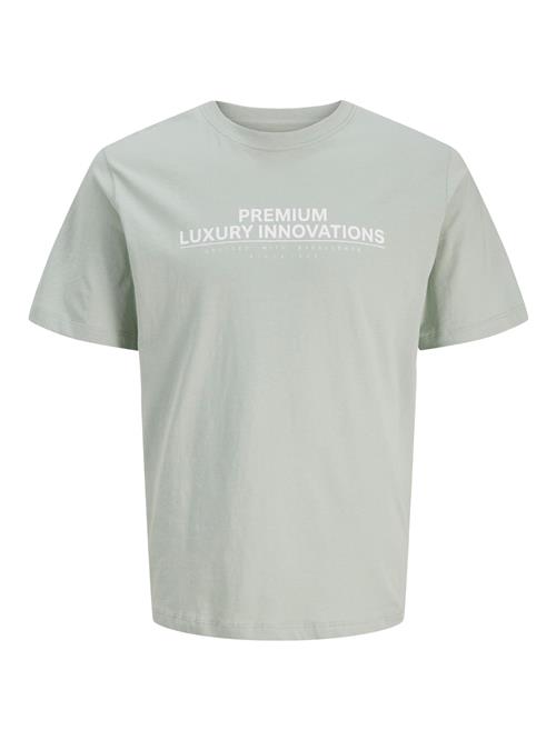 JACK & JONES Bluser & t-shirts  lysegrå / hvid