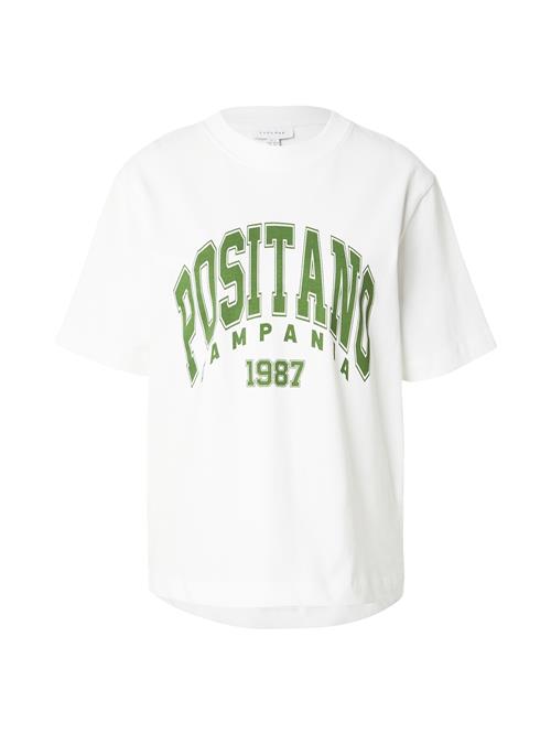 TOPSHOP Shirts 'Positano'  grå