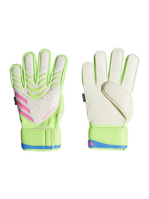 ADIDAS PERFORMANCE Sportshandsker  blå / lime / pink / hvid