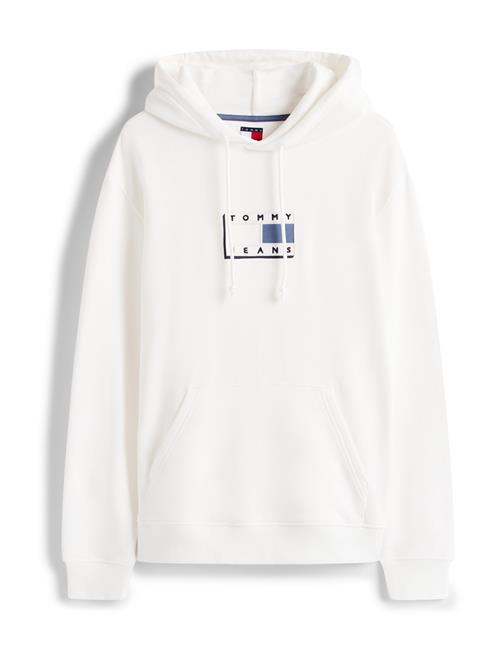Tommy Jeans Sweatshirt  lyseblå / mørkeblå / hvid