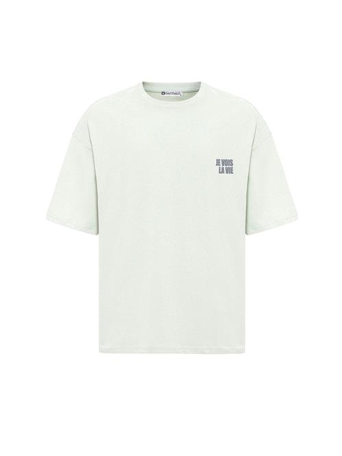 Dandalo Bluser & t-shirts  grå / mint / sort