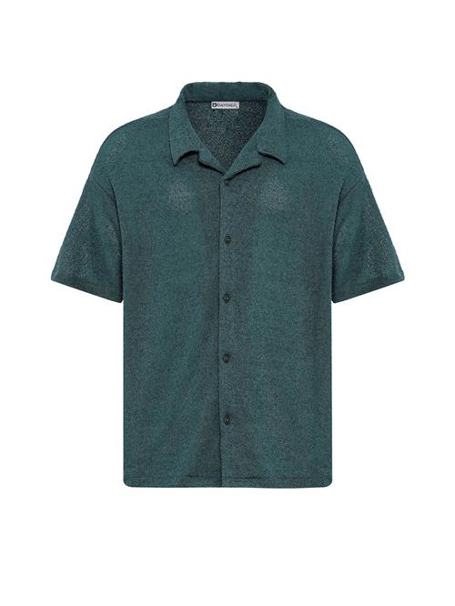 Dandalo Skjorte  petroleum