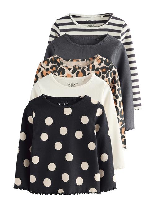 Next Bluser & t-shirts  ecru / grafit / sort / uldhvid