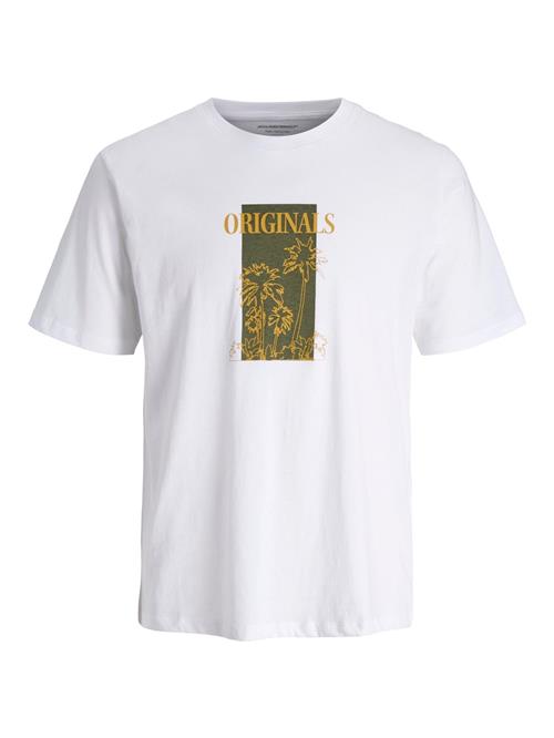 JACK & JONES Bluser & t-shirts  oliven / orange / hvid