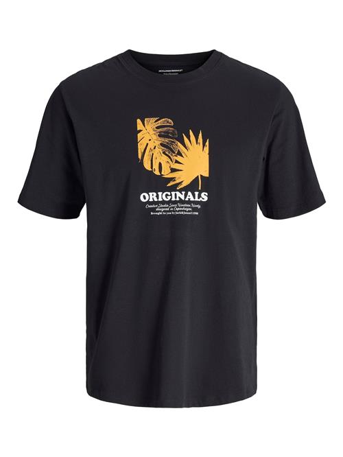 JACK & JONES Bluser & t-shirts  honning / sort / hvid