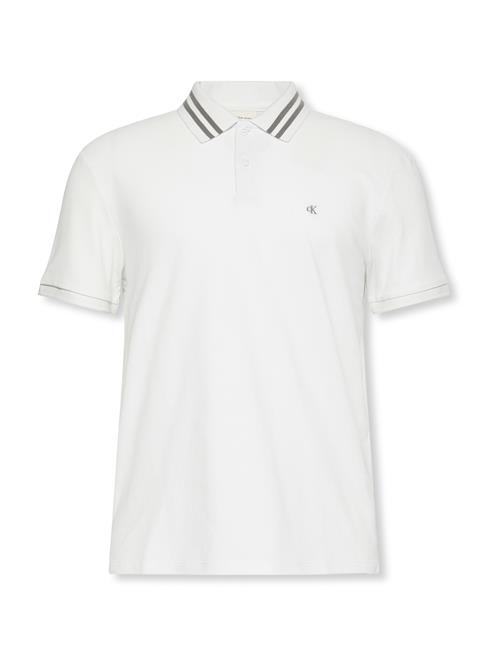 Calvin Klein Jeans Bluser & t-shirts  grå / hvid