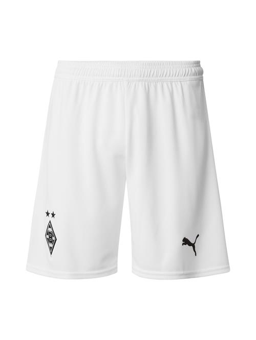 PUMA Sportsbukser 'Borussia Mönchengladbach 2025/2026'  sort / hvid