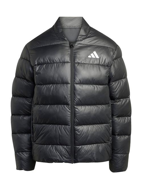 ADIDAS SPORTSWEAR Sportsjakke 'Essentials'  sort / hvid