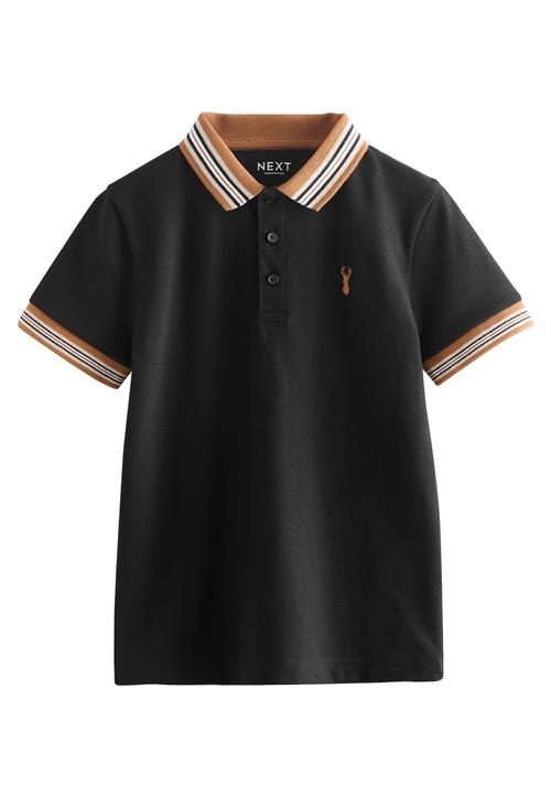 Next Shirts  lysebrun / sort / hvid