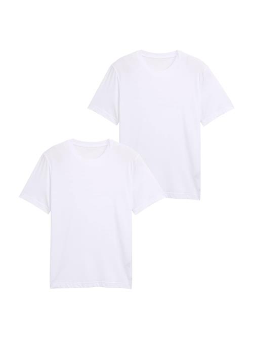 TOM TAILOR Bluser & t-shirts  hvid