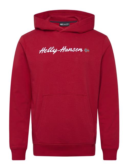 Helly Hansen | Core Graphic Sweat Hoodie | S