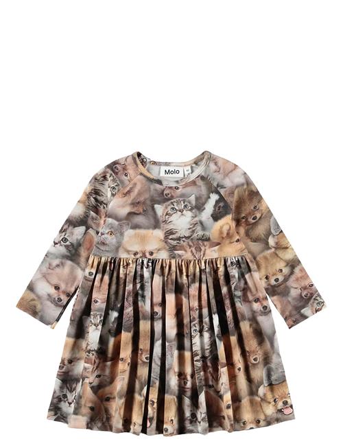 Molo | Charmaine | 98