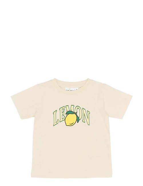 The New | Tnstshelly S_S Tee | 98