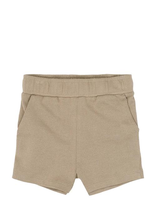 The New | Tnststeward Shorts | 110