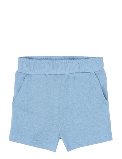The New | Tnststeward Shorts | 104
