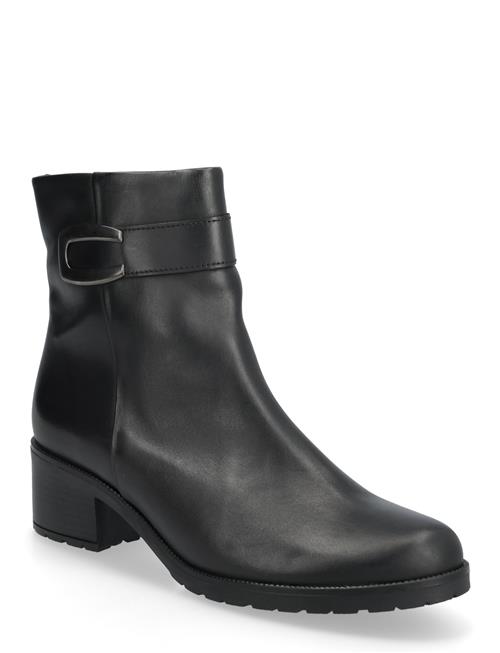 Gabor | Ankle Boot | 37.5